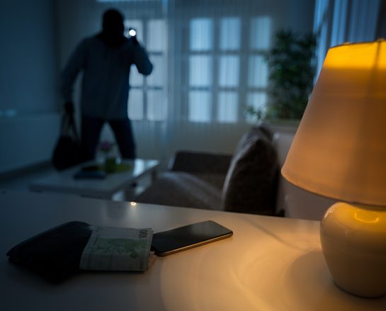 Guardyx security systems protecting residential and commercial properties in the San Francisco Bay Area and Silicon Valley