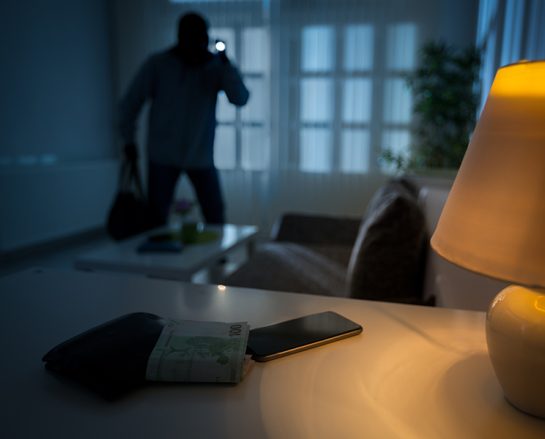 Guardyx security systems protecting residential and commercial properties in the San Francisco Bay Area and Silicon Valley